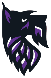 Agnes Scott logo