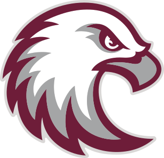 Augsburg logo