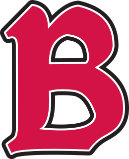 Benedictine (IL) logo
