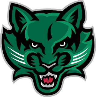 Binghamton logo