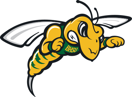 Black Hills St. logo