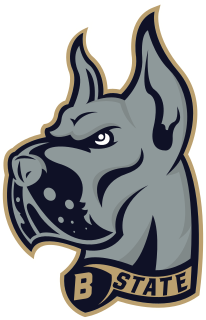 Bluefield St. logo