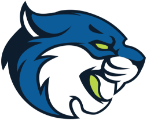 Bry. & Strat.-Syracuse logo