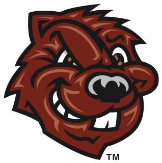 CCNY logo