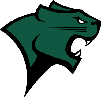 Chicago St. logo