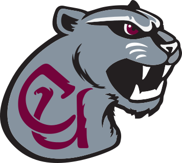 Concord logo