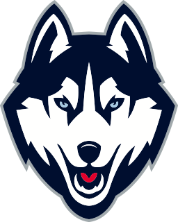 Connecticut logo