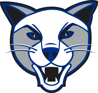 Daemen logo