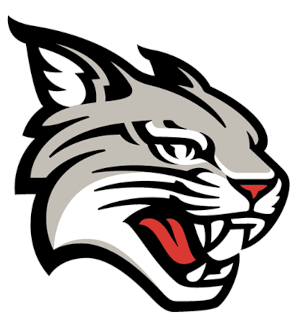 Davidson logo