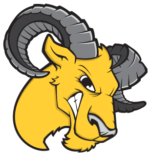 Delaware Valley logo