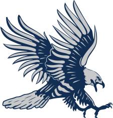 Dickinson St. (ND) logo