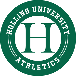 Hollins logo