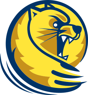 Lander logo