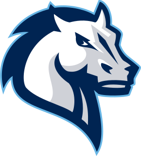 Mercy logo