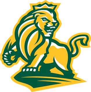 Methodist logo