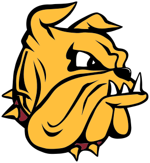 Minn.-Duluth logo