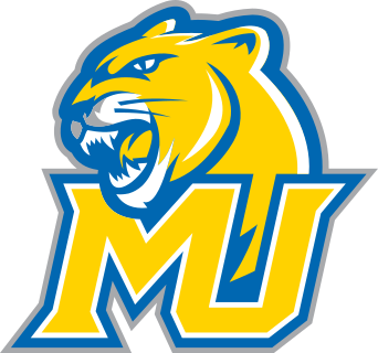 Misericordia logo