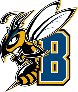 Mont. St.-Billings logo