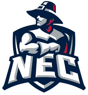 New England College logo