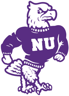Niagara logo