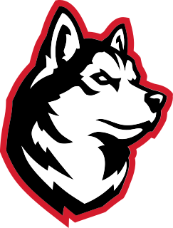 Northeastern logo