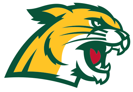Northern Michigan logo