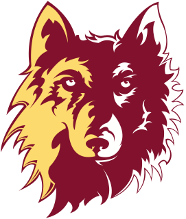Northern St. logo