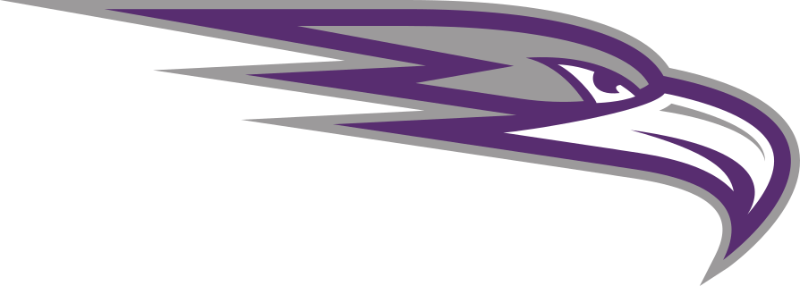 Ozarks (AR) logo