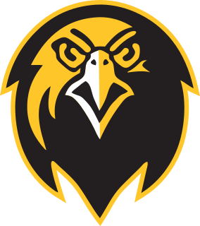 Pfeiffer logo