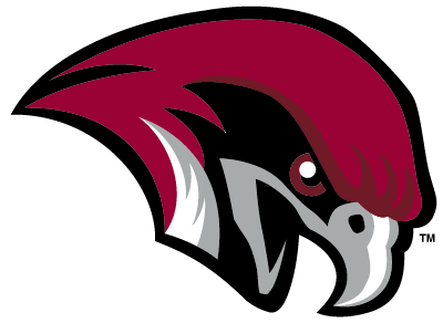 Roanoke logo