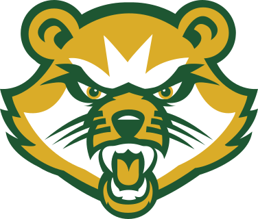 Saint Vincent logo