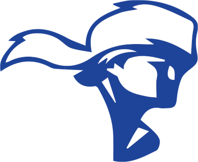 Spartanburg Meth. (SC) logo