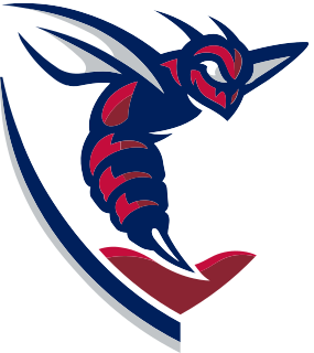 Shenandoah logo