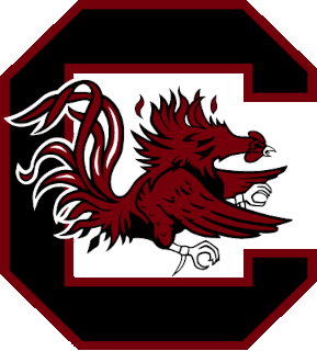 South Carolina logo