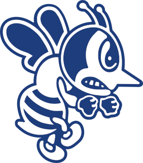 St. Ambrose (IA) logo