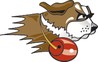 St. Francis (IL) logo