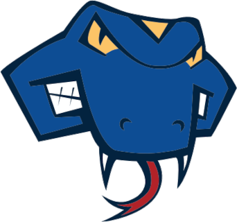 St. Mary's (TX) logo