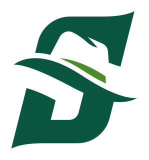 Stetson logo