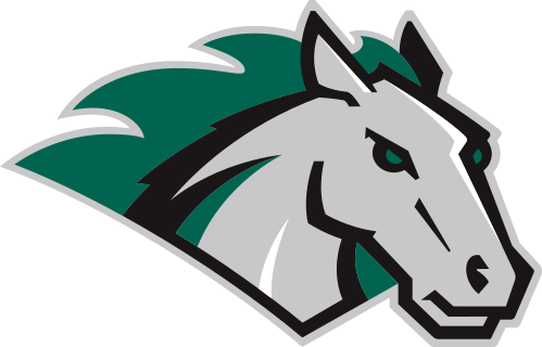 Stevenson logo