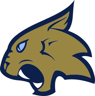 Thiel logo