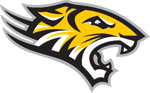 Towson logo
