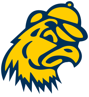 Trinity (CT) logo