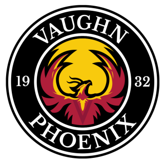 Vaughn (NY) logo
