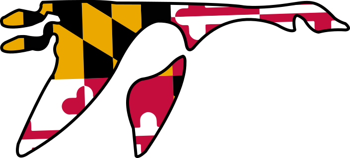 Washington Col. logo