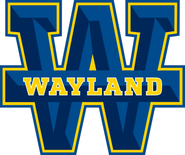 Wayland Baptist (TX) logo