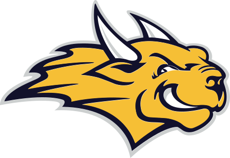 Webster logo