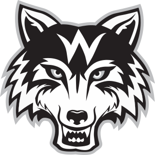 Wesleyan (GA) logo