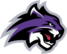 Wiley (TX) logo