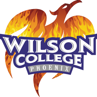 Wilson logo