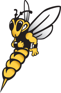 Wis.-Superior logo